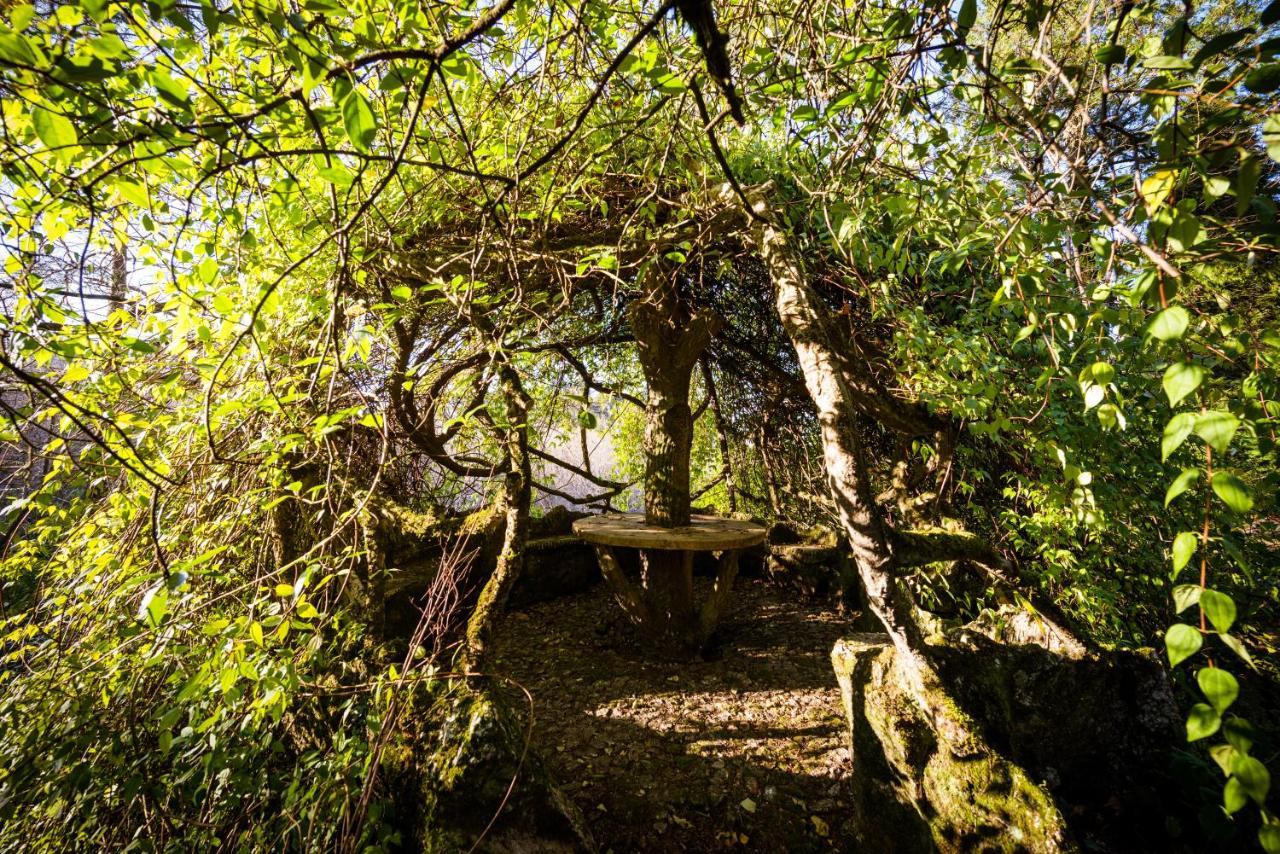 The Grove Houses Guimarães Exterior photo